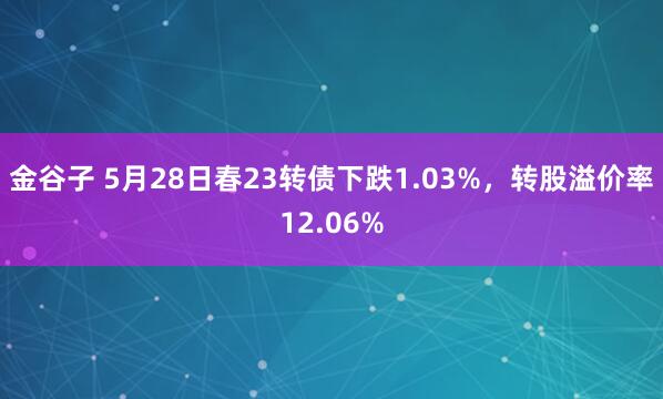 金谷子 5月28日春23转债下跌1.03%，转股溢价率12.06%