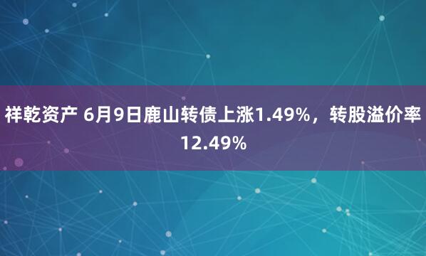 祥乾资产 6月9日鹿山转债上涨1.49%，转股溢价率12.49%