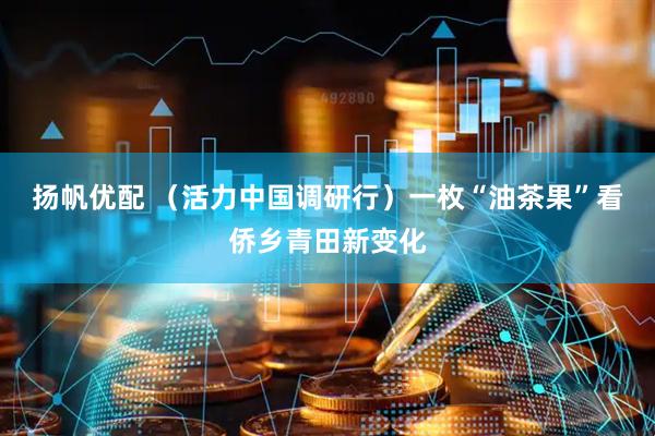 扬帆优配 （活力中国调研行）一枚“油茶果”看侨乡青田新变化